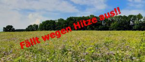 Read more about the article Sommerpatt Wanderung